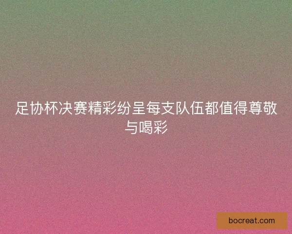 足协杯决赛精彩纷呈每支队伍都值得尊敬与喝彩
