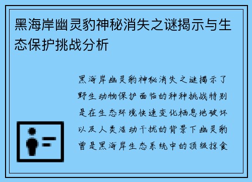 黑海岸幽灵豹神秘消失之谜揭示与生态保护挑战分析